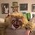 Bethany Gamble's profile image