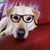 Gary Donath's profile image