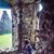 Toni Ann Irwin's profile image
