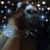 Billie Jo Salter's profile image