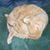 Mary Jones's profile image