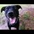 Steveo Hines's profile image