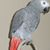 Kathy Collura's profile image