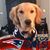 Brian J Guinan's profile image