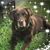 Shawne Moran Cooper's profile image