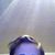 Moni Hanke's profile image