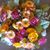 Shirley Johnson's profile image