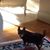 Jane Straten's profile image