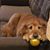 Brian Shetterly's profile image
