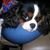 Cindy Ruff's profile image