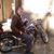 Antun Lauda Kovacev's profile image