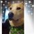 Edie Anne Guild's profile image