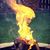 Kelly Kulpinski's profile image