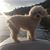 Janine Evans's profile image