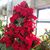 Deanna Crask's profile image