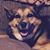 Bob Mychajluk's profile image