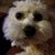 Kenda Porter Stephenson's profile image