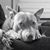 Michael Thomas Maloy's profile image