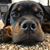Ken Fancher's profile image