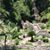 Carole Rodda-Binder's profile image