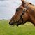 Michelle Shea Ellis's profile image