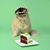 Gina Davison's profile image