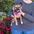Elaine Bozzo's profile image