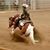 Josie Dilworth's profile image