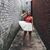 Katie Motil's profile image