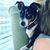 Jackie Kurtz Sheffield's profile image