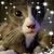 Rebecca Lee DuBois's profile image