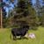Larry Holstein's profile image