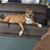 Jackie Davis Gallinger's profile image