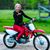 Denise Murray's profile image