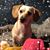 DeAnna Koller's profile image