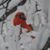 David Finke's profile image