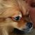 Paduveris Teresa's profile image