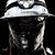 Dave Wilsen's profile image