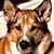 Ken Yurgelon's profile image