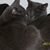 Diana Joyce Tanner's profile image