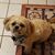 Janeen Cohen's profile image