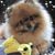 Mary Jo Watson's profile image