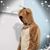 Phong's profile image