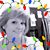Shelly Moore's profile image