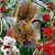 Kim Nettles's profile image