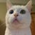 Michele Pavlik's profile image