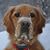 Amy James's profile image