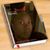 Felicia Wiley's profile image