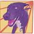 Jason Noble's profile image