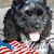 Tarawa Baughn's profile image